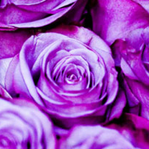 靠谱的交易平台求的安卓ddos攻击工具